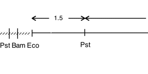 P-71 cpDNA EcoRI 18 (4.9 kb)